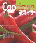 辣椒Capsicum - 圖片 1
