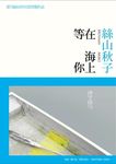 在海上等你 - 圖片 1