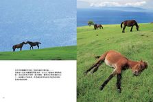 你今天睡飽了沒? - 圖片 6