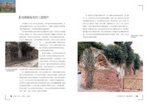 顏水龍: 熱蘭遮城古堡 - 圖片 3