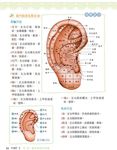 完全圖解! 靠自己就能健康又美麗的速效按摩書 - 圖片 3