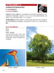Nikon熱門相機100%手冊沒講清楚的事 - 圖片 3