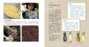 台灣好果子 - 圖片 2