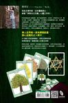 心靈樹卡: 占卜．療癒．靜心 (附41張樹禪卡+牌卡使用解說書+牌卡收納絨袋) - 圖片 6