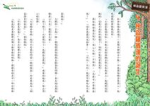俠盜羅賓漢 - 圖片 5