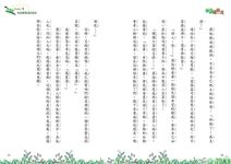 俠盜羅賓漢 - 圖片 3