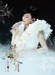 江蕙: 2013鏡花水月演唱會Live (2CD) - 圖片 1