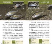 野塘: 122種野塘生物的奧祕 - 圖片 10