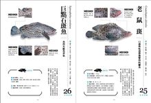 餐桌上的魚百科: 跟著魚汛吃好魚! 從挑選、保存、處理、熟成到料理的全食材事典 (暢銷增訂版) - 圖片 6
