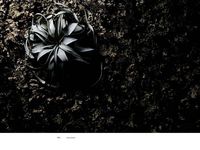 植物図鑑Encyclopedia of Flowers - 圖片 4