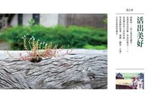 孫叔唱副歌 - 圖片 7