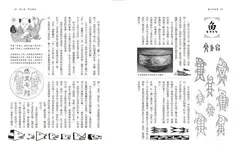 漢字的故事 (暢銷10周年紀念版) - 圖片 5