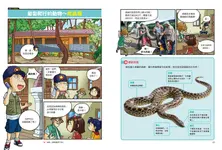 漫畫大英百科生物地科 4: 兩棲類與爬蟲類 - 圖片 9