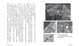復活的軍團: 秦始皇陵兵馬俑發現之謎 (最新修訂版) - 圖片 4