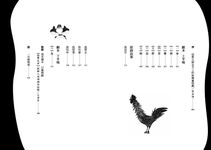 弄 - 圖片 6