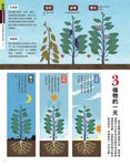 菜園大豐收! 土壤&肥料使用完全手冊 - 圖片 5