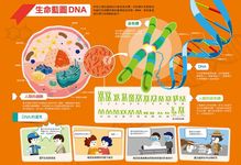 漫畫大英百科 人體醫學 1: 遺傳與血型 - 圖片 2