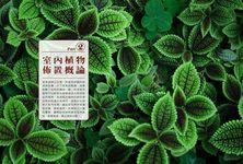 綠色家屋: 120種室內觀花、觀葉植物栽培與空間綠美化 - 圖片 8