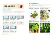 綠色家屋: 120種室內觀花、觀葉植物栽培與空間綠美化 - 圖片 4