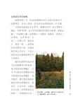 新洛陽伽藍記 - 圖片 6