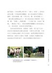 新洛陽伽藍記 - 圖片 8