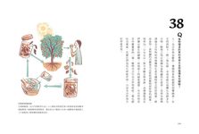 手釀環保酵素+食用酵素 - 圖片 3