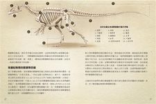 恐龍時代: 侏羅紀晚期到白堊紀早期的古地球生物繪圖觀察筆記 - 圖片 5