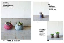 我與多肉的同居生活: 親手打造超療癒多肉植物組盆裝飾 - 圖片 3