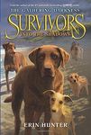 Survivors: The Gathering Darkness 3: Into the Shadows - 圖片 1