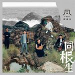 同根生 - 圖片 1
