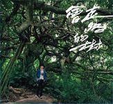 會走路的樹 - 圖片 1