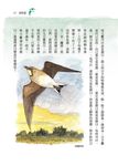 田園之秋: 彩色插圖本 (修訂新版) - 圖片 4
