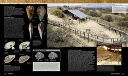Evolution: The Human Story - 圖片 2
