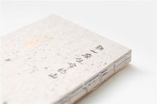 朝一座生命的山 - 圖片 2