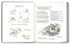 The Country Diary of an Edwardian Lady - 圖片 3