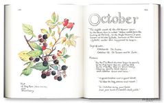 The Country Diary of an Edwardian Lady - 圖片 6