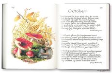 The Country Diary of an Edwardian Lady - 圖片 2