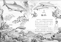 神奇樹屋小百科 8: 海豚與鯊魚 (第2版) - 圖片 3