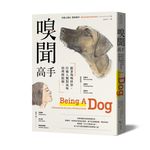 嗅聞高手: 跟著狗嗅世界, 打破人類對氣味的理解限制 - 圖片 1