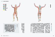 當自己的按摩師: 深層肌筋膜自我放鬆 - 圖片 5