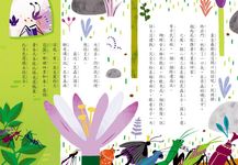 好品格童話 6: 蝴蝶女王與糞金龜 - 圖片 6