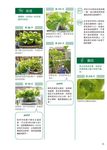 無農藥水耕栽培: 在家就能收成的39種健康蔬菜 - 圖片 4