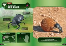 驚奇昆蟲大百科 - 圖片 6