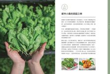好食。家餐桌: 窗台趣味蔬活與83道令人想念的時鮮滋味 - 圖片 4