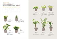 今天起, 植物住我家: 專為懶人&園藝新手設計! 頂尖景觀設計師教你用觀葉、多肉、水生植物佈置居家全圖解 - 圖片 4