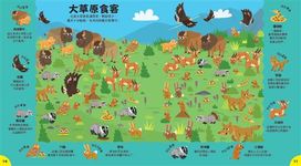 小偵探找一找 3: 野生動物在哪裡 - 圖片 4
