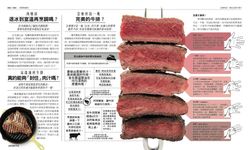 烹飪的科學: 食品科學家的奶、蛋、肉、魚料理門道 - 圖片 7