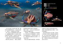 真實尺寸的古生物圖鑑: 古生代篇 - 圖片 5