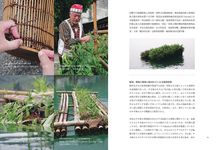小島捕魚: 台灣水邊的日常風景 - 圖片 6