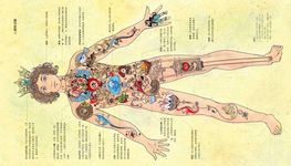 來自精靈世界的人類奇幻百科 - 圖片 6